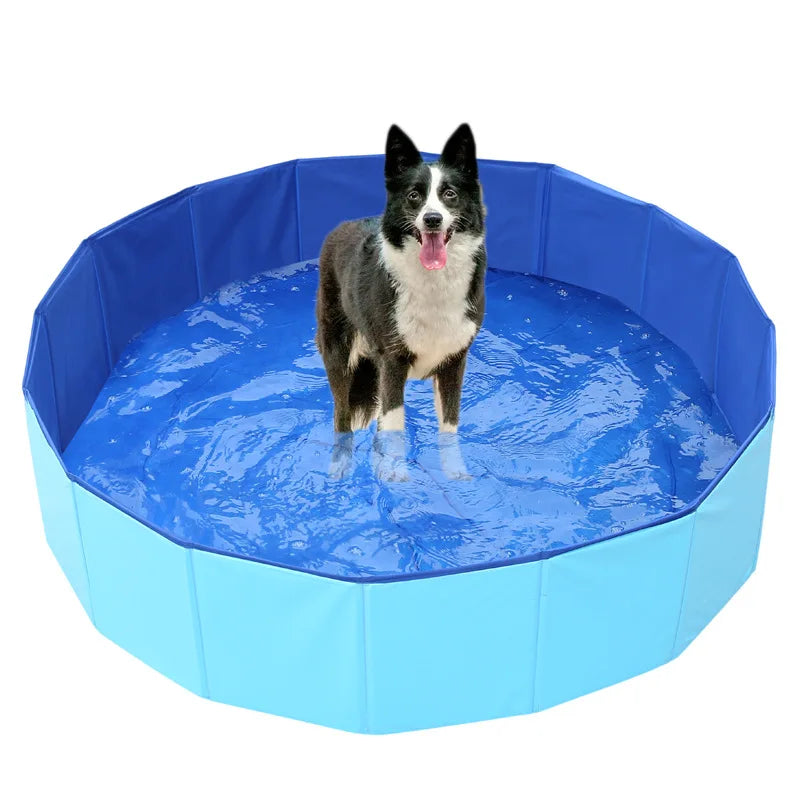 Piscine Pliable pour Chiens