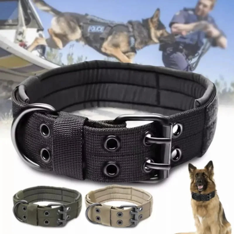 Collier pour Chien Réglable en Nylon