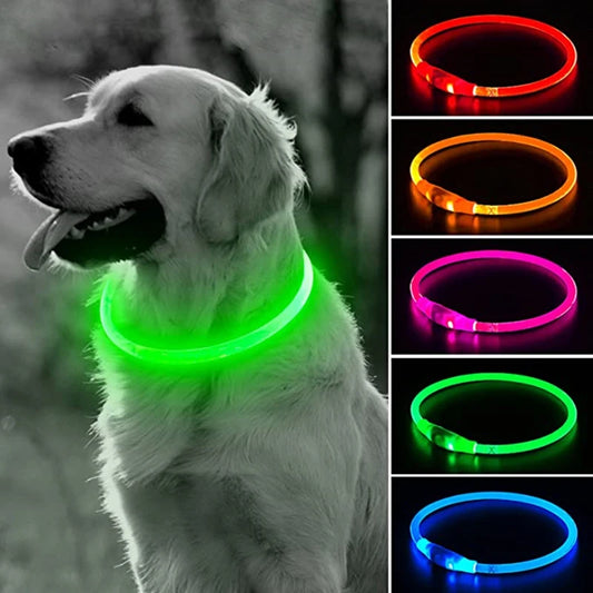 Colliers Lumineux pour Chiens