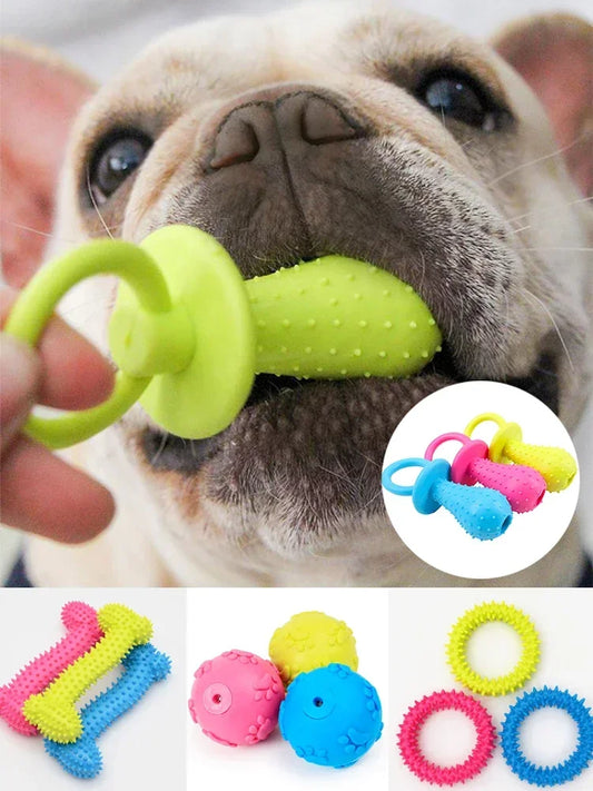 Pack de Jouets à Mâcher pour Chiens