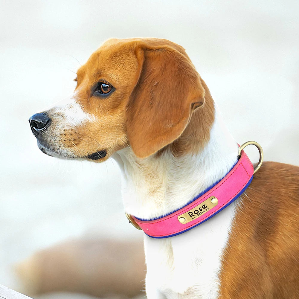 Collier pour Chien Personnalisé |Dog Collar™