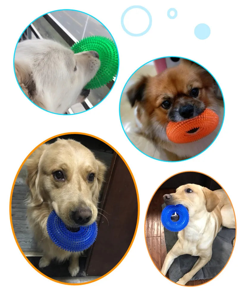 Jouet pour Chien |Ball Interactif