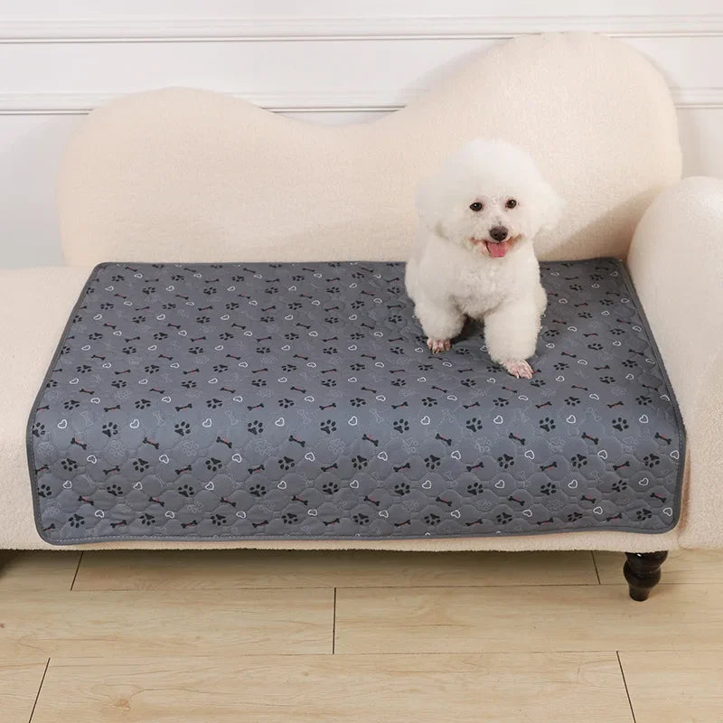 Tapis Absorbant Chien