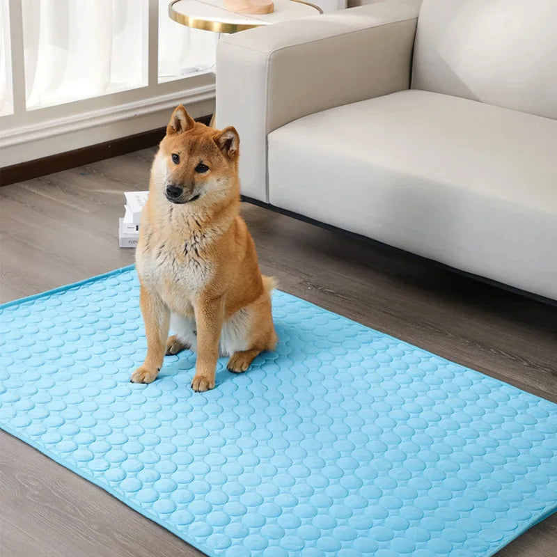 Tapis pour chien |Sleeply™