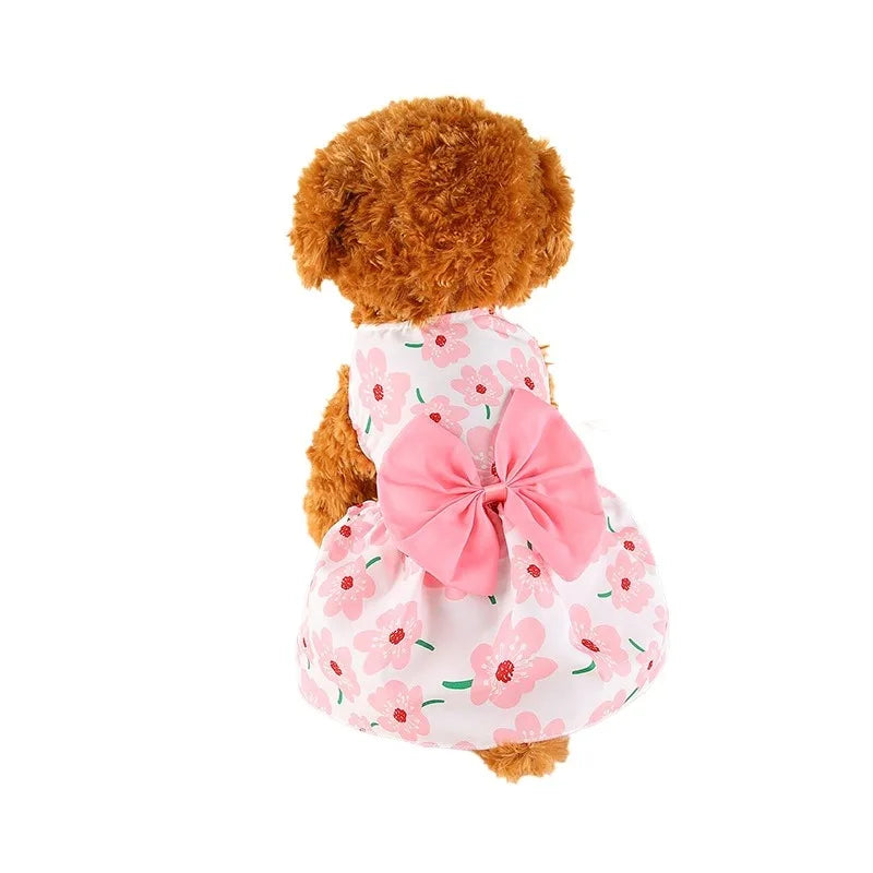 Jupe Robe pour Chien| CHATON™