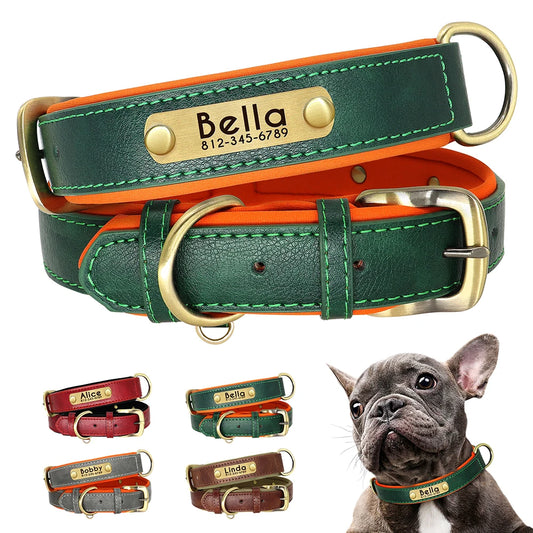 Collier pour Chien Personnalisé |Dog Collar™