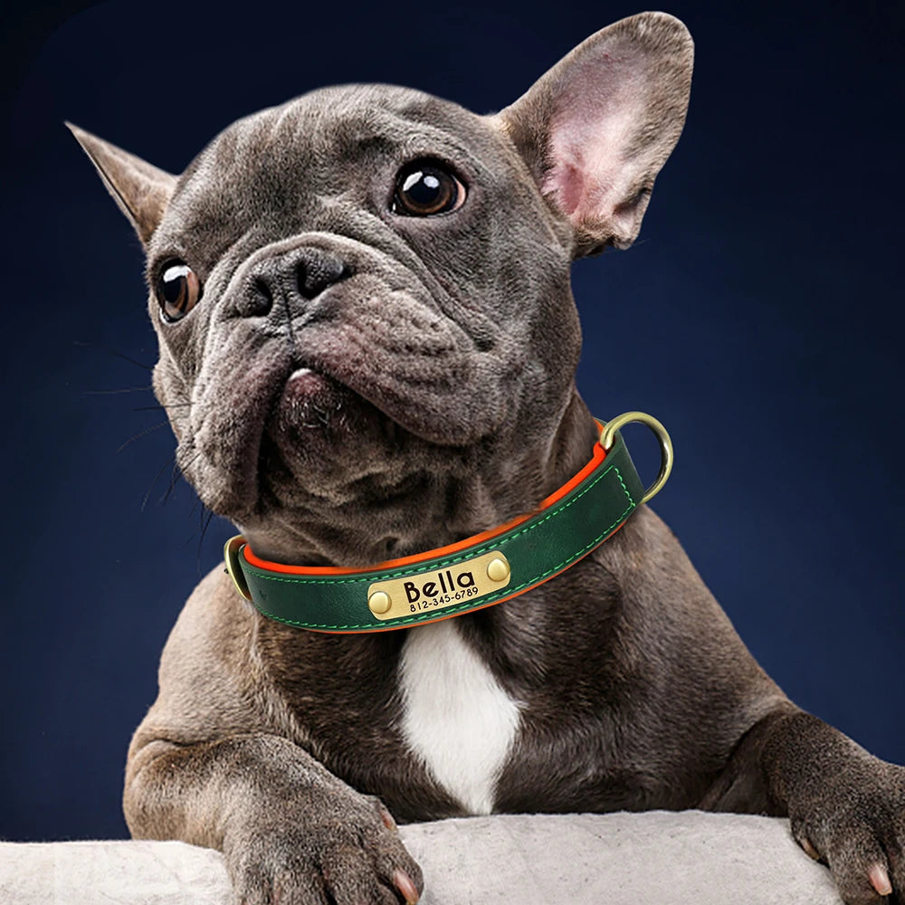 Collier pour Chien Personnalisé |Dog Collar™