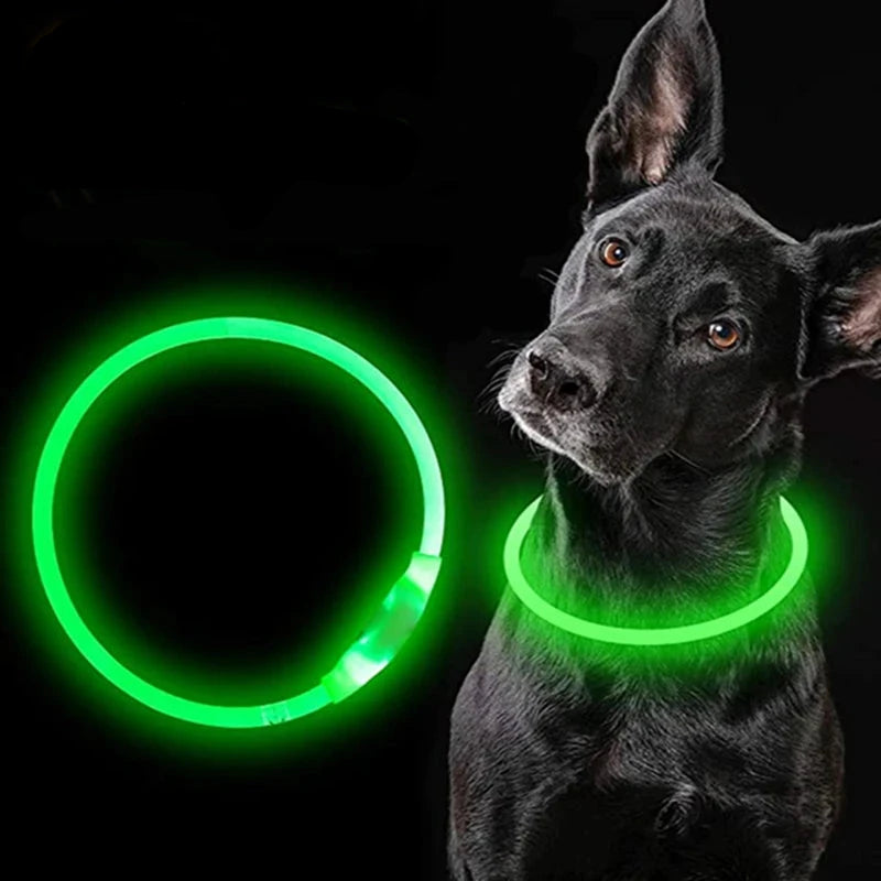 Colliers Lumineux pour Chiens