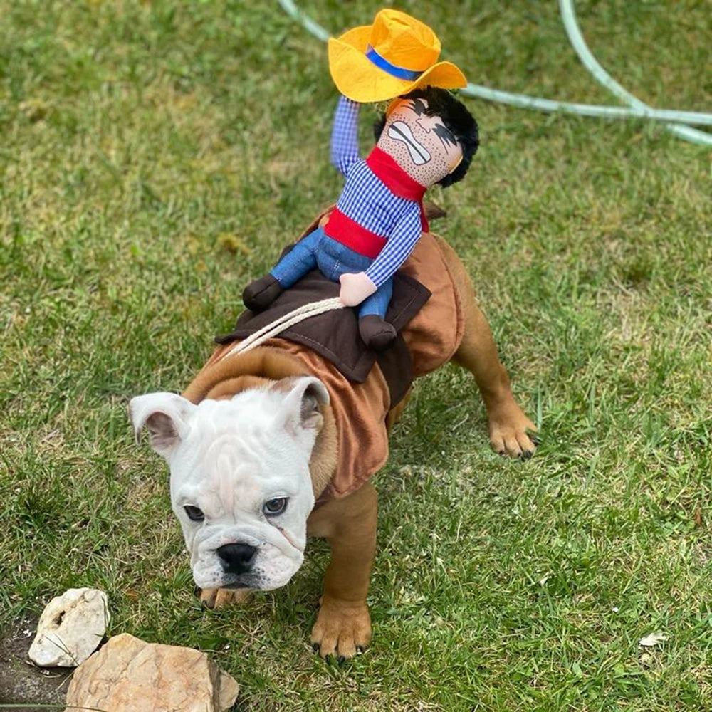 Costume de Cowboy|doggy™