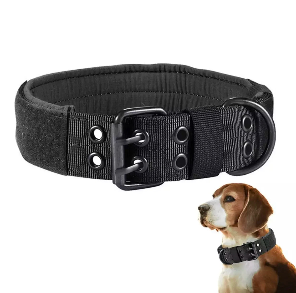 Collier pour Chien Réglable en Nylon