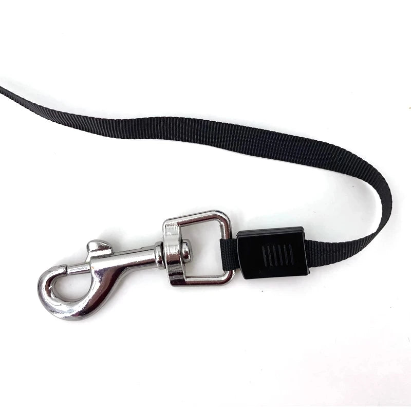 Laisse rétractable pour chien|Leash™