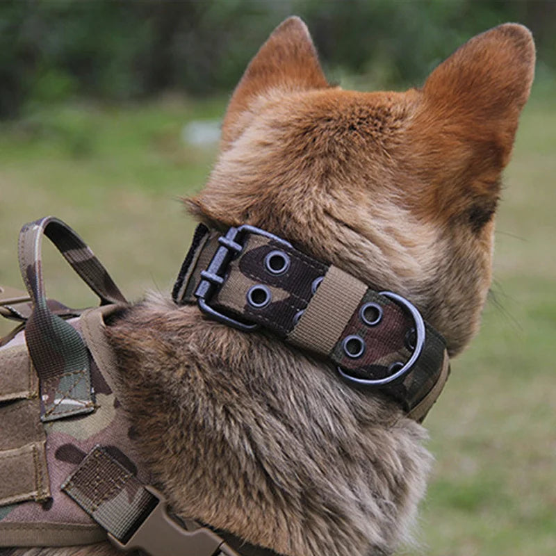 Collier pour Chien Réglable en Nylon