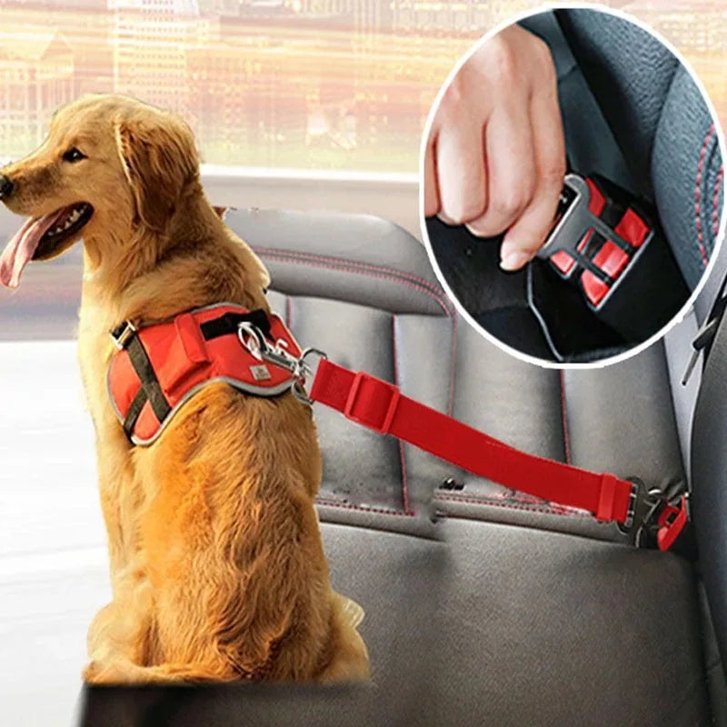 Ceinture de sécurité ajustable pour chien