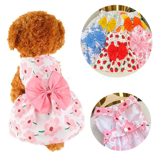 Jupe Robe pour Chien| CHATON™