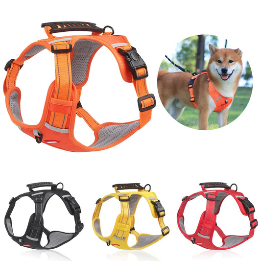 Harnais Chien Anti Traction| DOGSAFE™