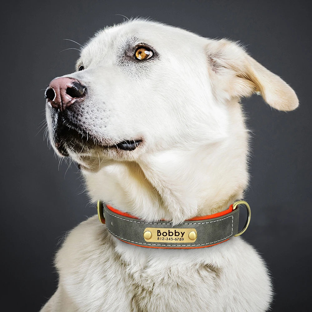 Collier pour Chien Personnalisé |Dog Collar™