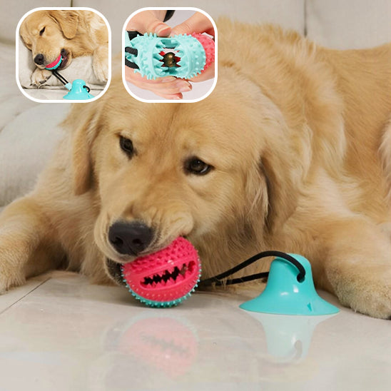 Jouets à billes pour chien