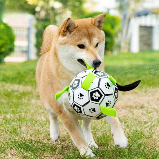 Balle de Jouet pour Chien