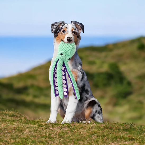 Jouet à mâcher en peluche