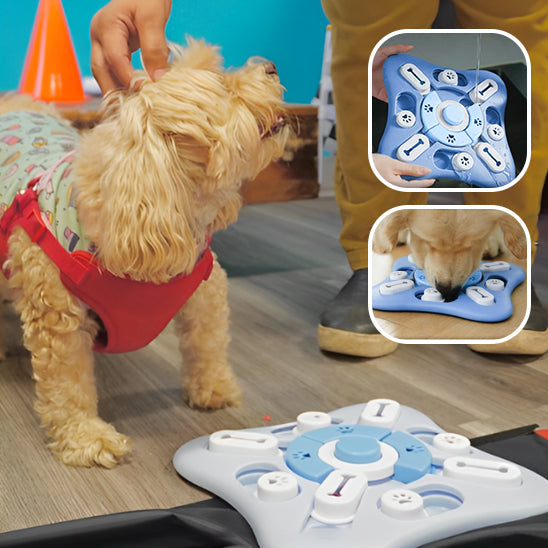 Croquette pour chien : Le Jouet Puzzle Interactif