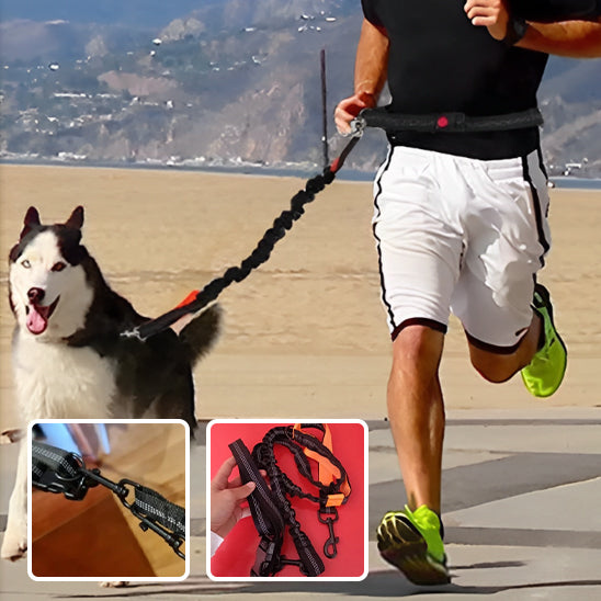 LAISSE RETRACTABLE |DOG LEASH™