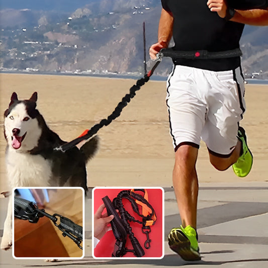 LAISSE RETRACTABLE |DOG LEASH™